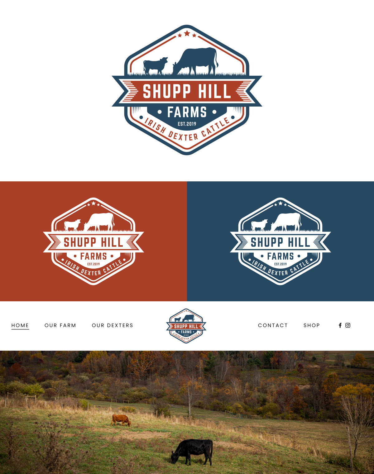 Diseño de Logo por a5 para este proyecto | Diseño #32090776