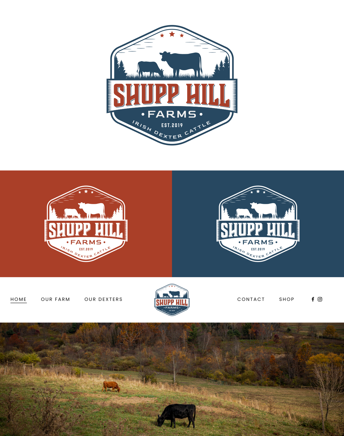 Diseño de Logo por a5 para este proyecto | Diseño #32091325