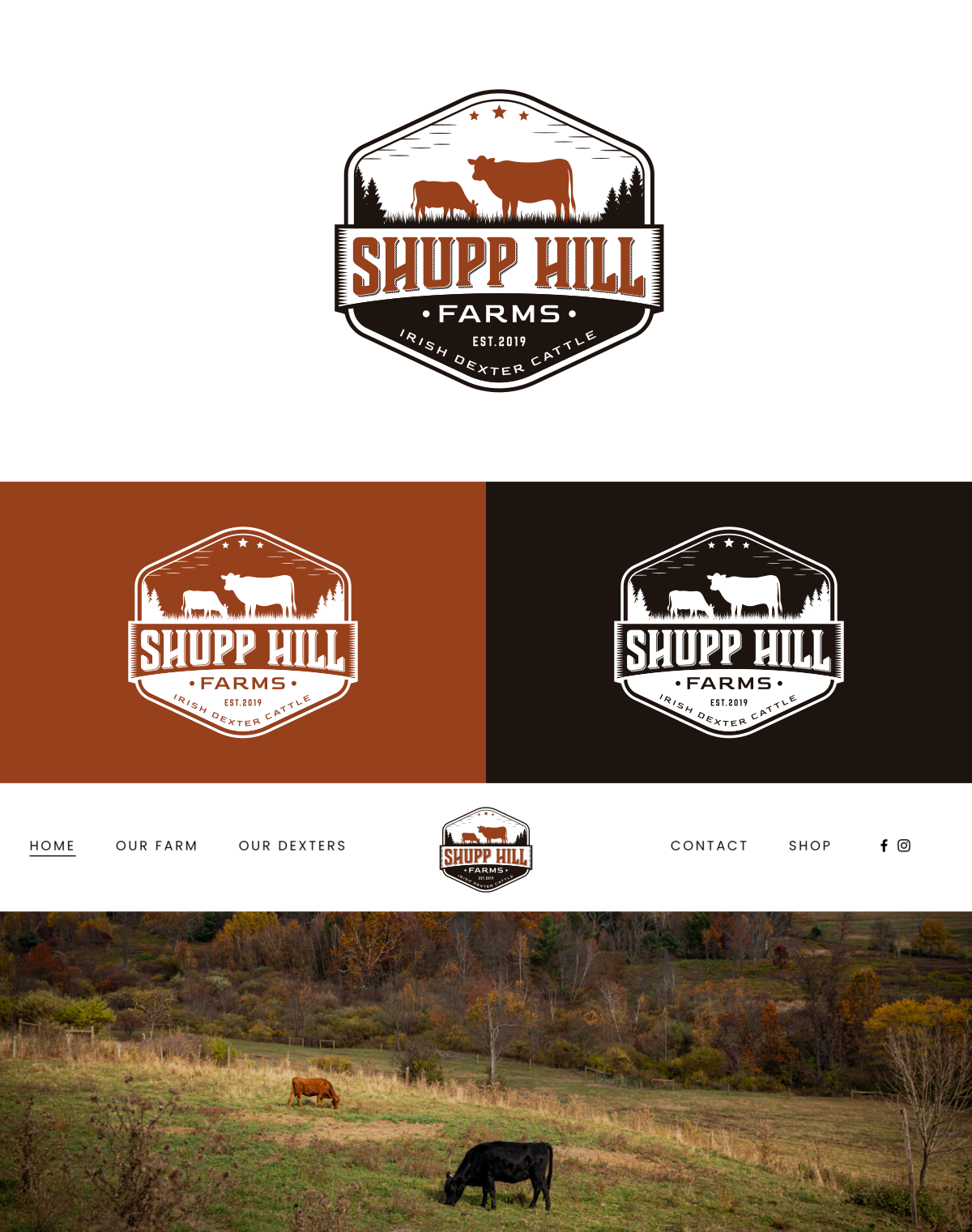 Diseño de Logo por a5 para este proyecto | Diseño #32096694