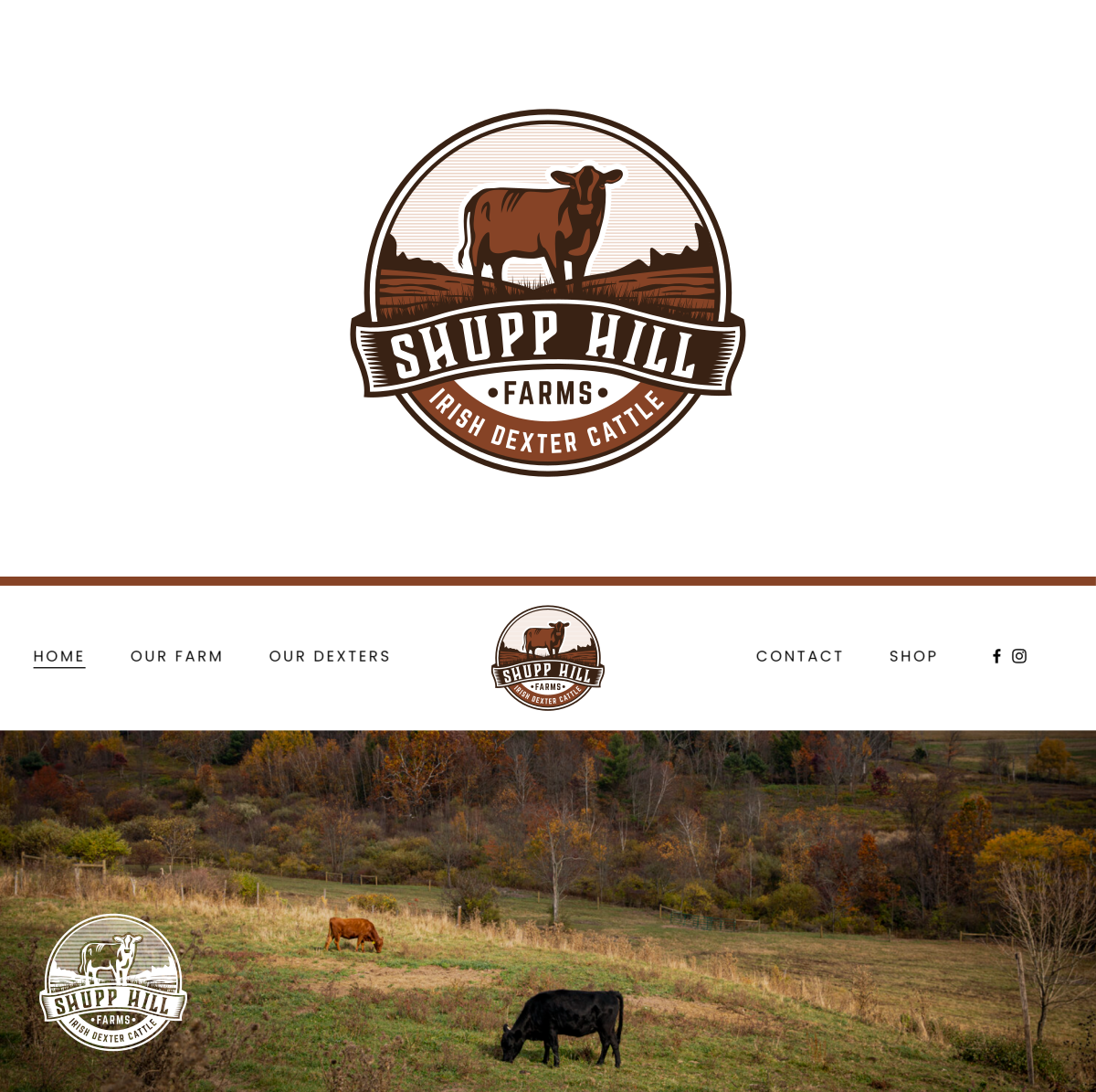 Diseño de Logo por a5 para este proyecto | Diseño #32097049