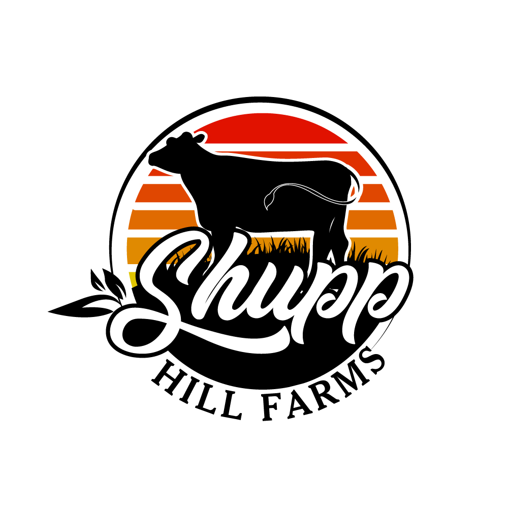 Design de Logo par Krold IT Solutions pour ce projet | Design #32068784