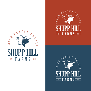 Logo Design by Mevn_D