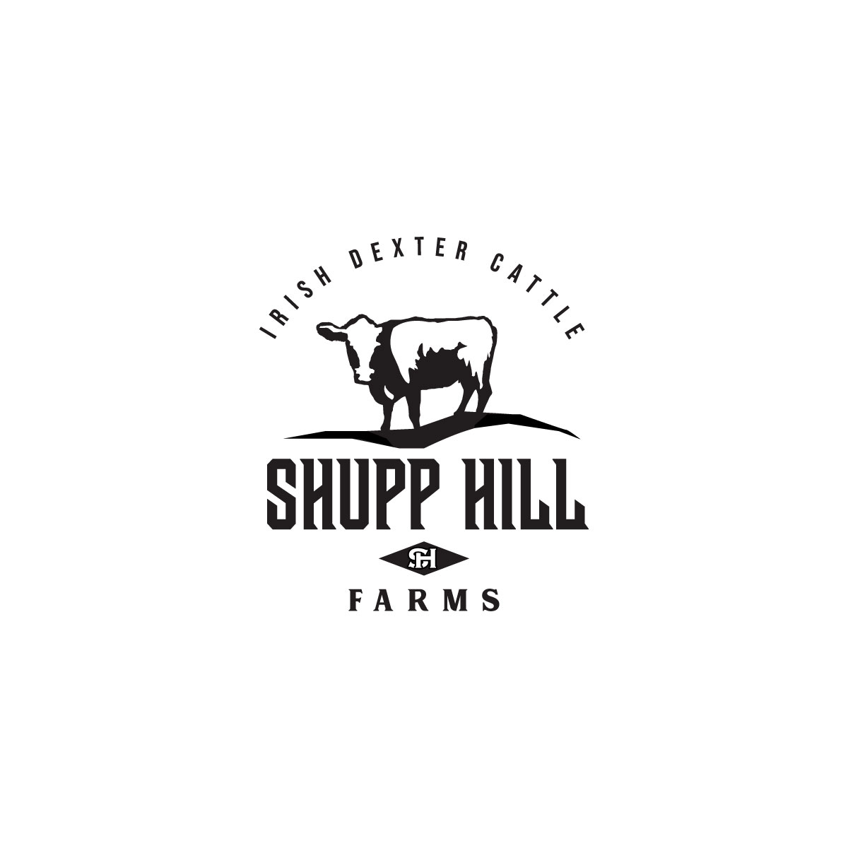 Diseño de Logo por LAXMI DESIGNHUB para este proyecto | Diseño #32059952