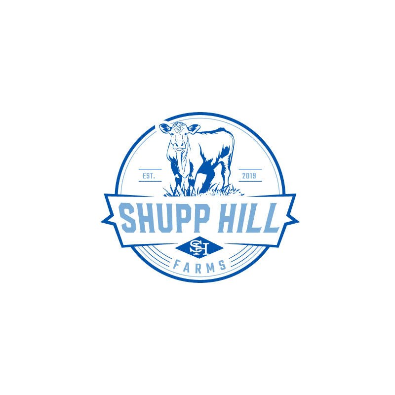 Diseño de Logo por RAMDHONU para este proyecto | Diseño #32070016