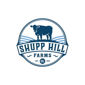 Logo Design by Illustratiko