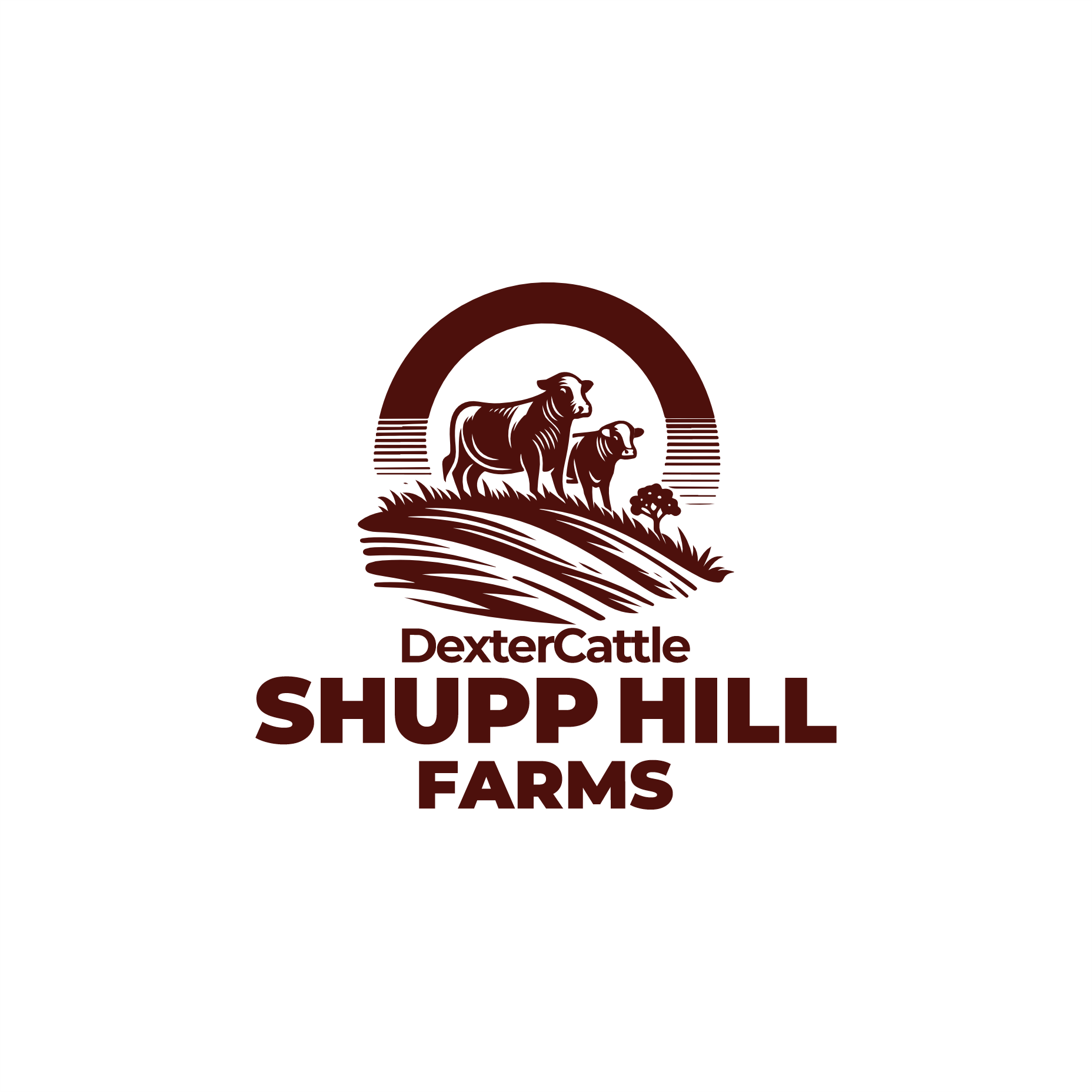 Logo Design by Muhammadsaria for this project | Design #32056439