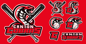 Logo Design by Michael Condello
