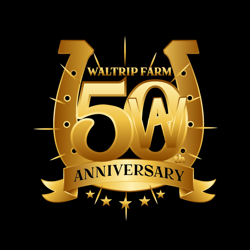 Logo Design by Sergio Coelho for this project | Design #32088134