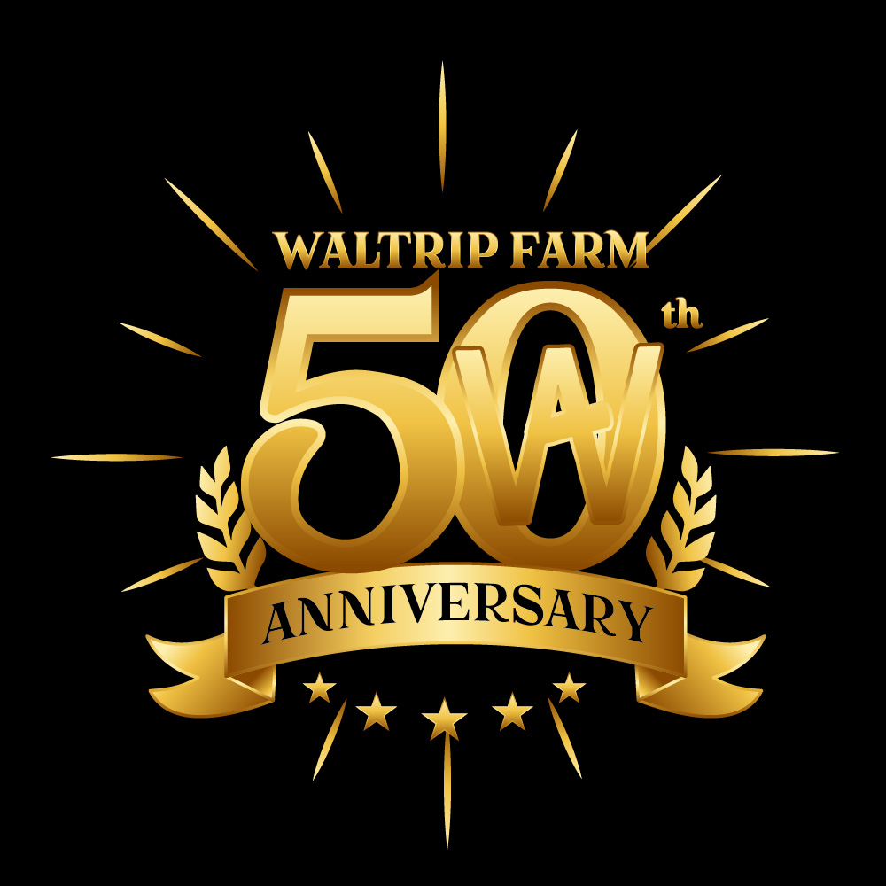 Logo Design by Sergio Coelho for this project | Design #32088144