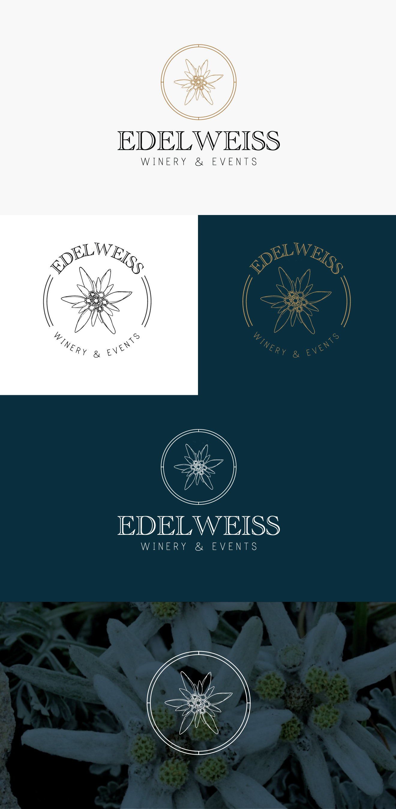 Logo Design by Design_Lenni for Beth Osler | Design #32100580