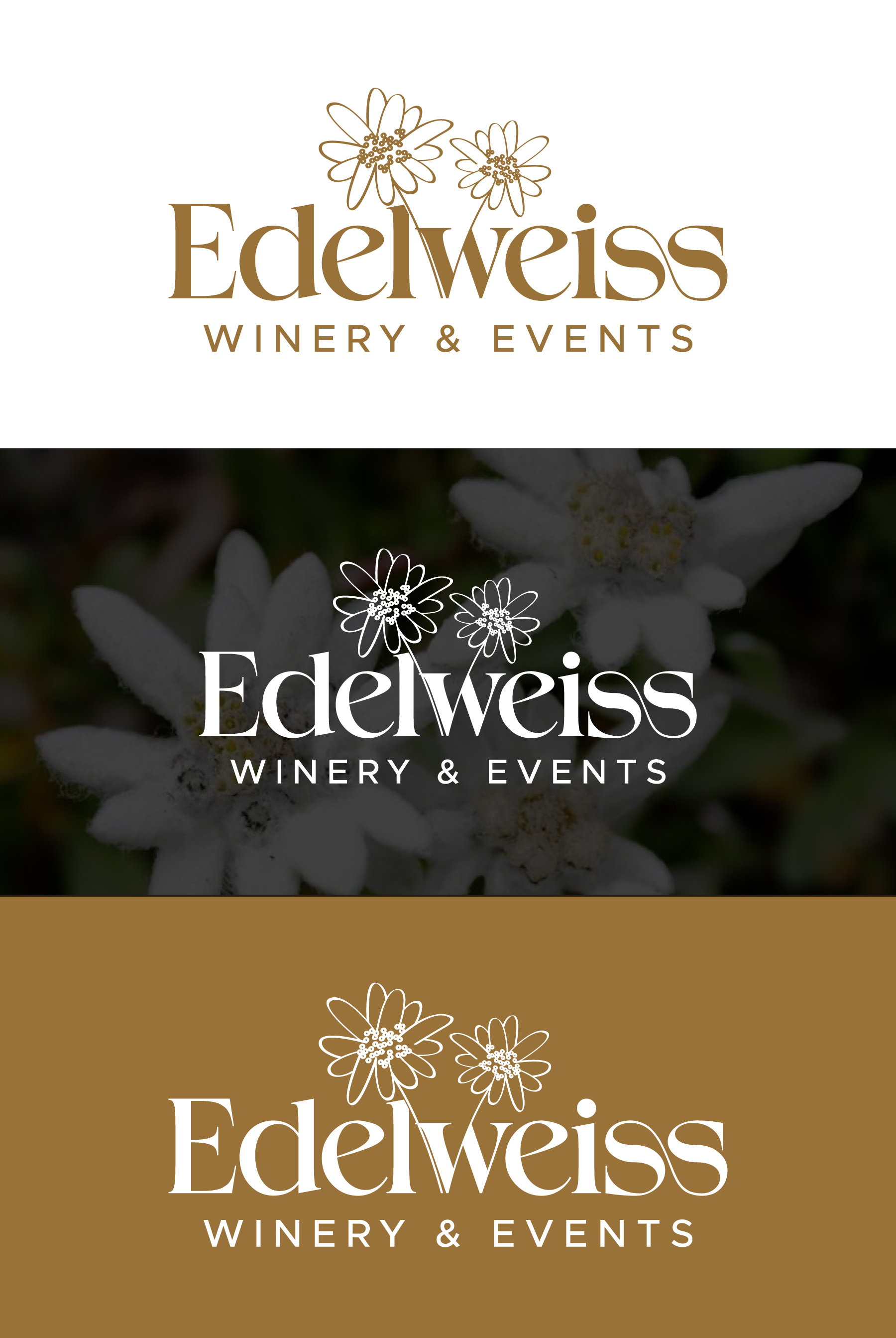 Diseño de Logo por debdesign para back shack chicken | Diseño #32085264