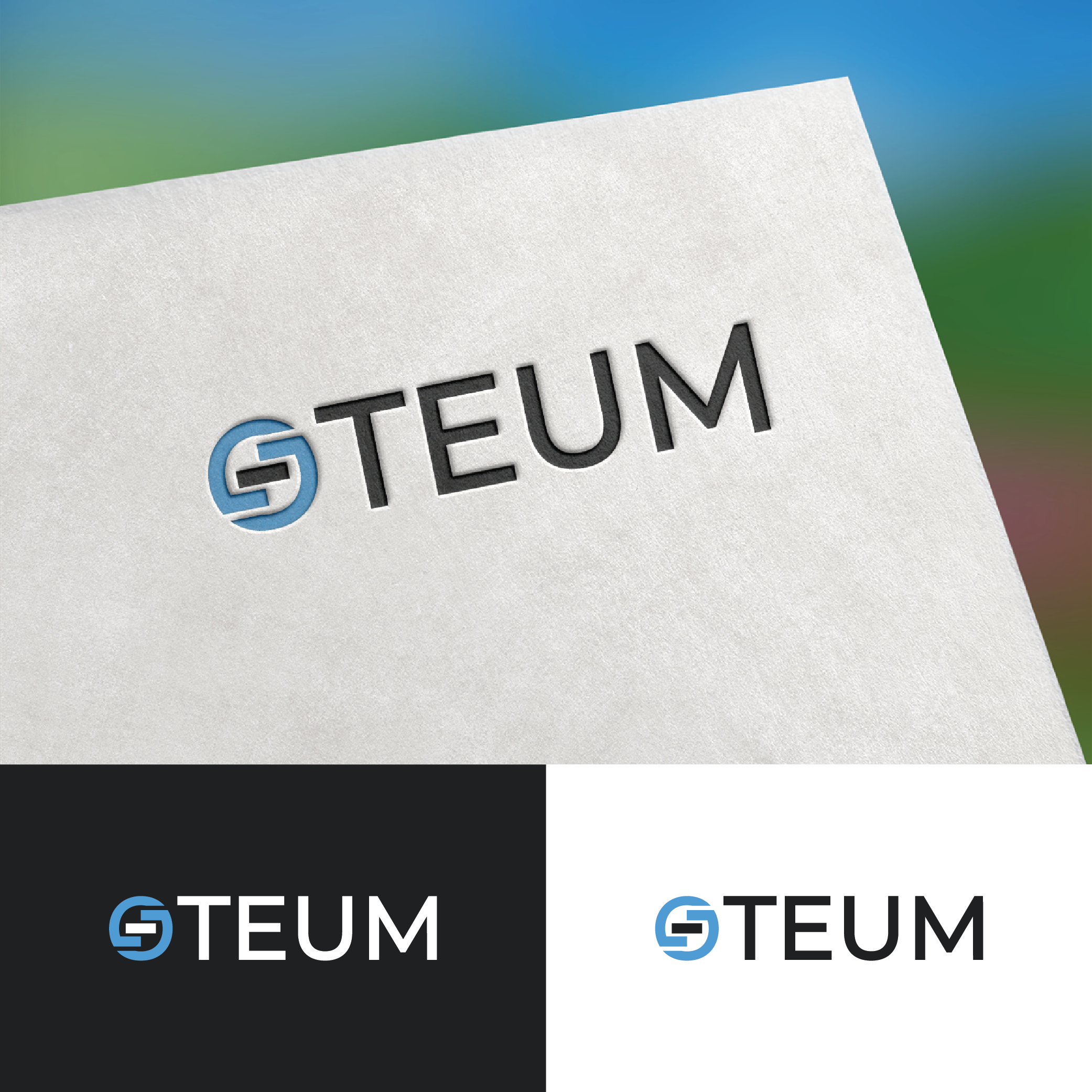 Logo Design by FT Marks Co. for this project | Design #32119882