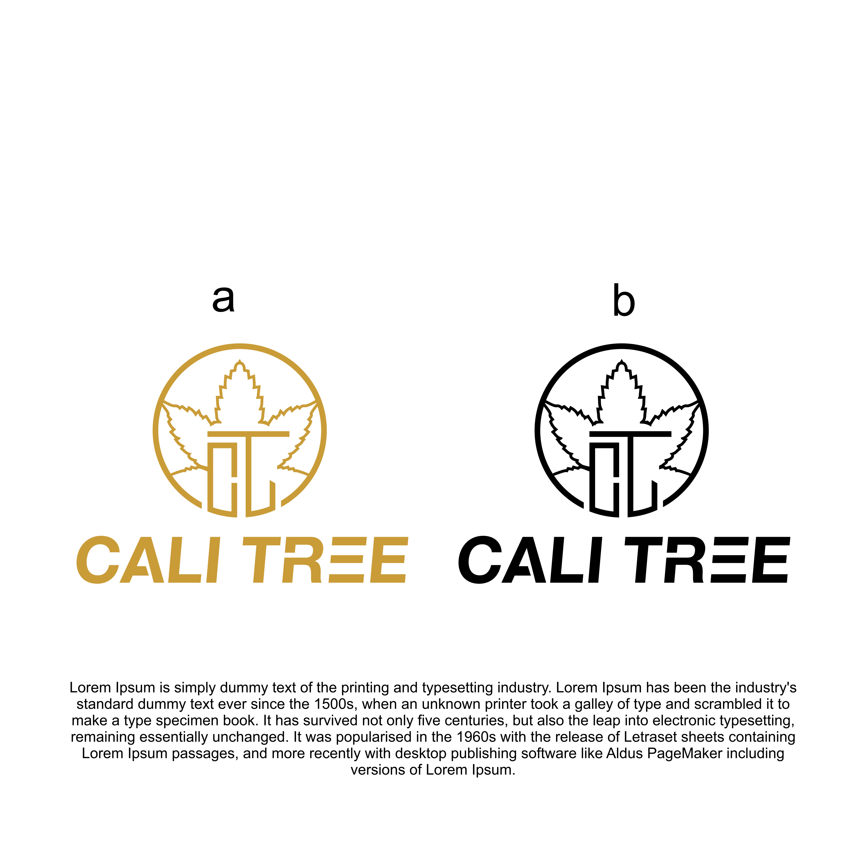 Diseño de Logo por diego costa para este proyecto | Diseño: #32110333