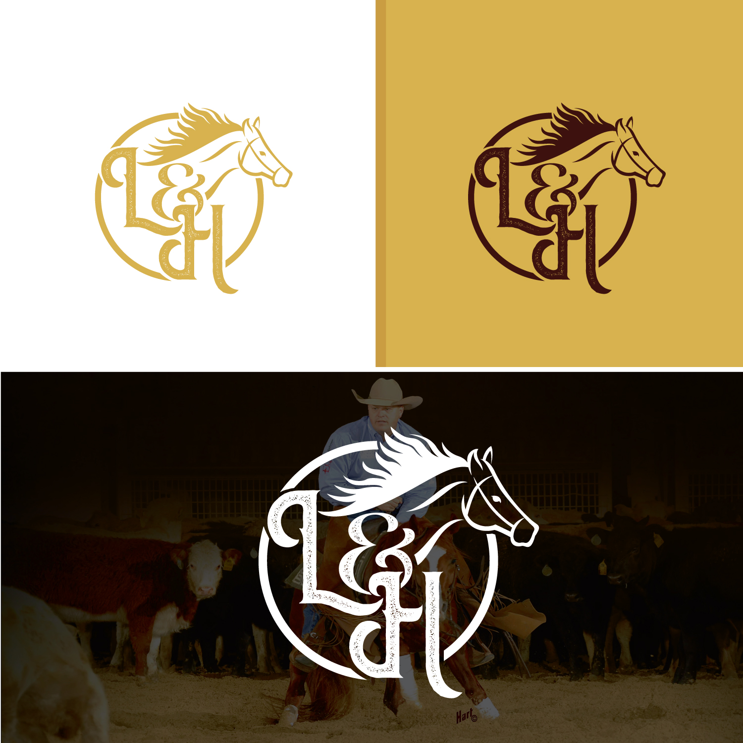 Design de Logo par Revolt Team pour ce projet | Design #32085652