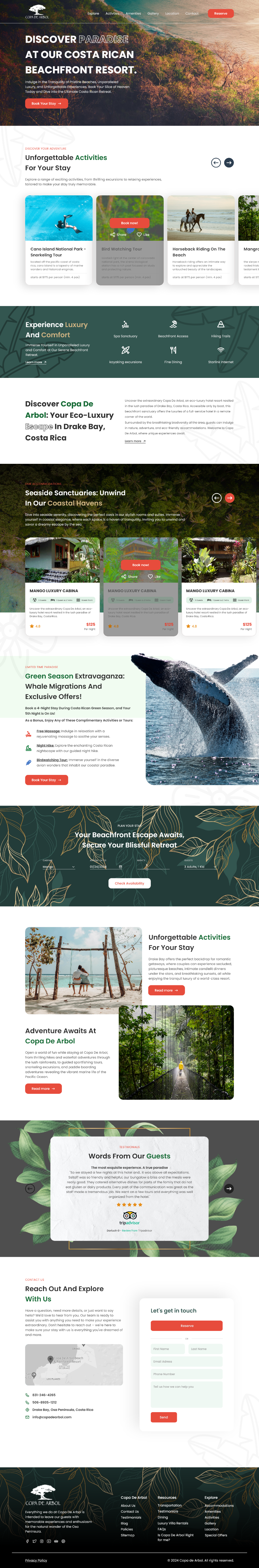 Web Design by amar achouri for this project | Design #32117347
