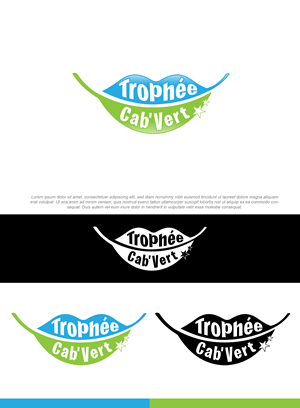 Logo Design by VisionCraft