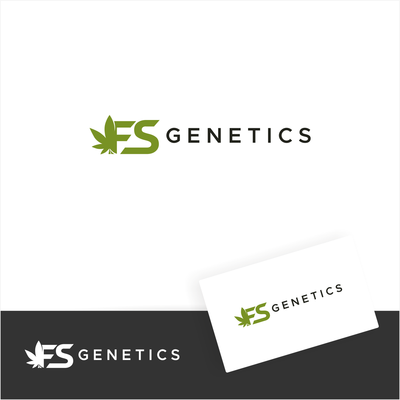 Logo Design by Arham Hidayat for FSgenetics  | Design #32113949