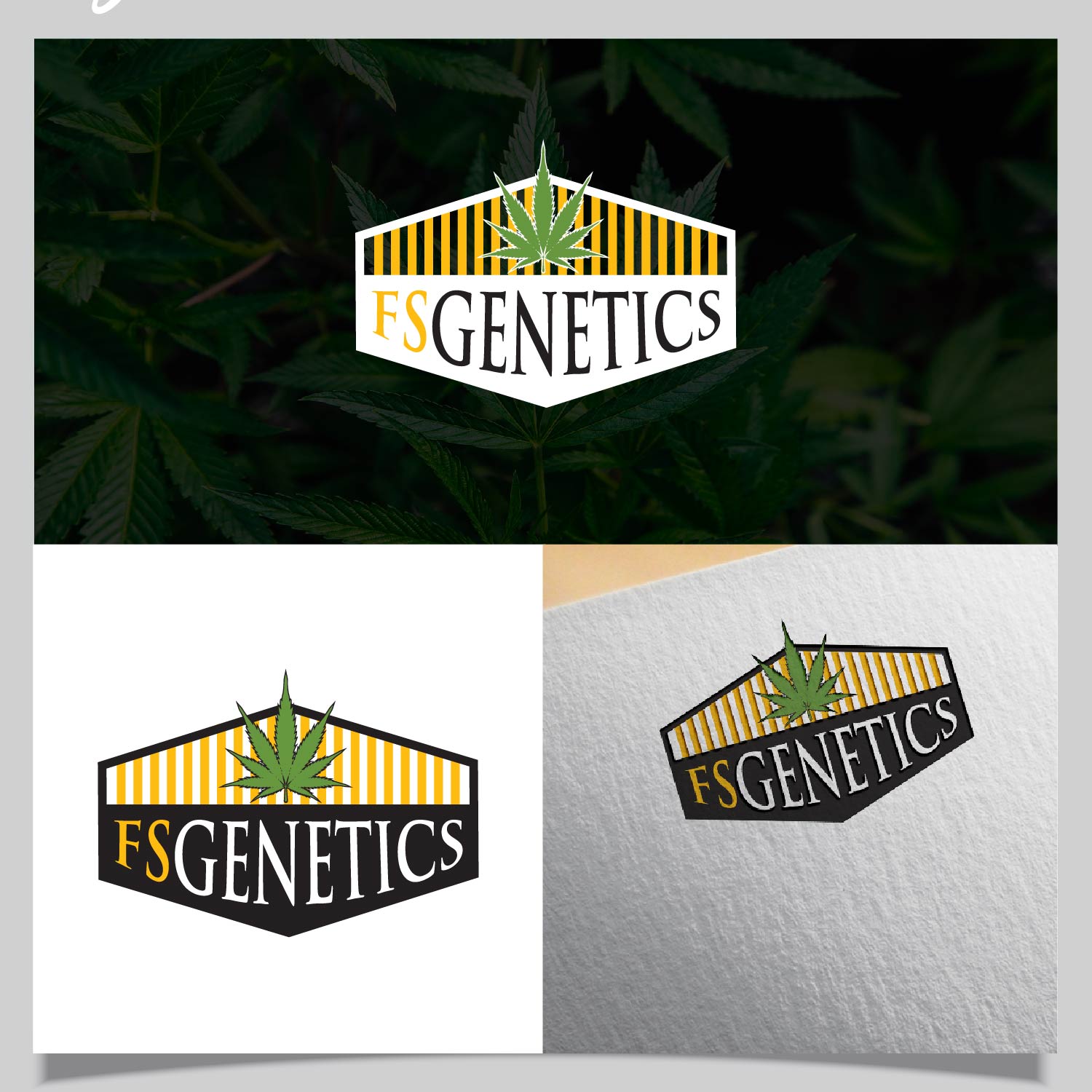 Logo-Design von creativeoutline für FSgenetics  | Design #32096423