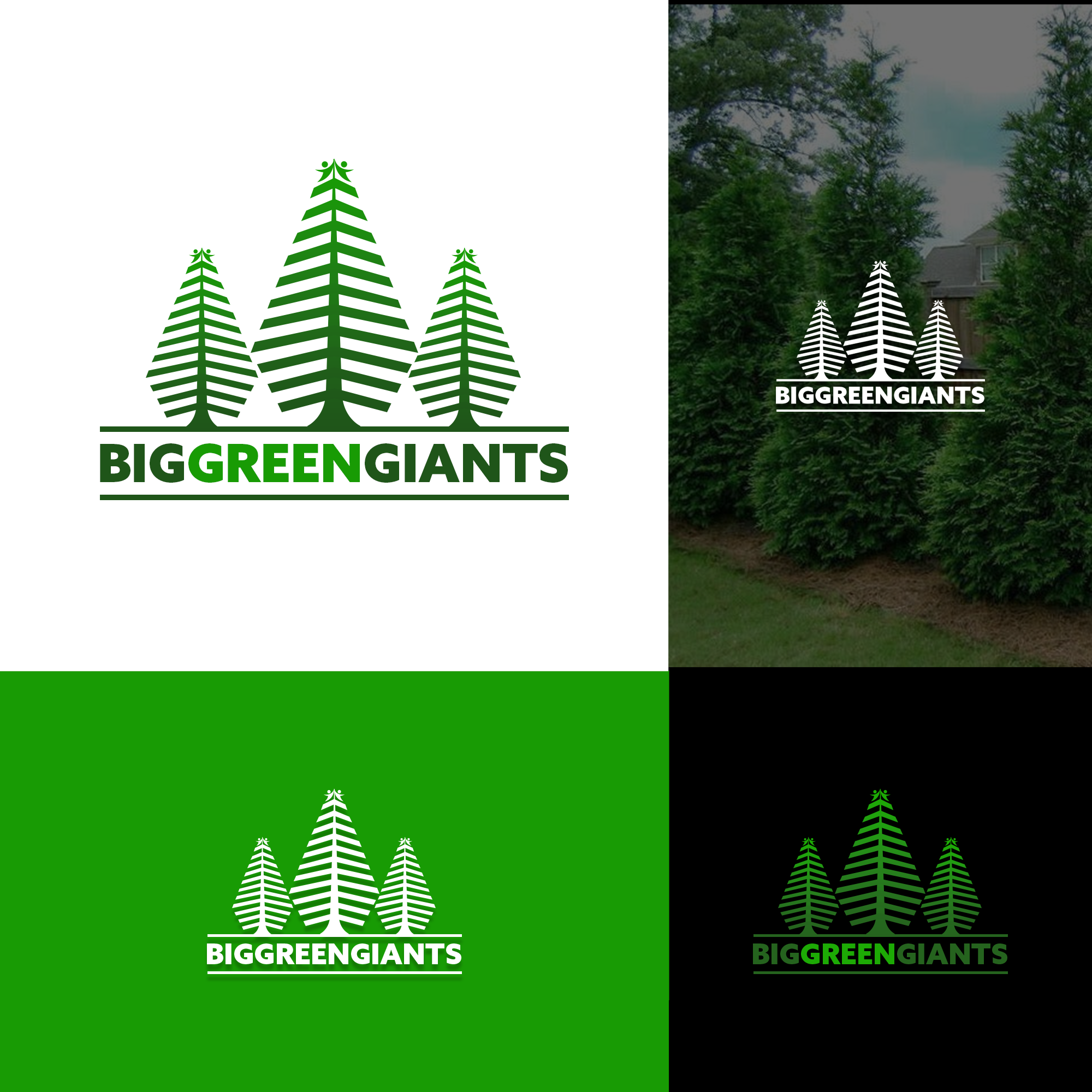 Diseño de Logo por Darshan Dimension para este proyecto | Diseño #32102140