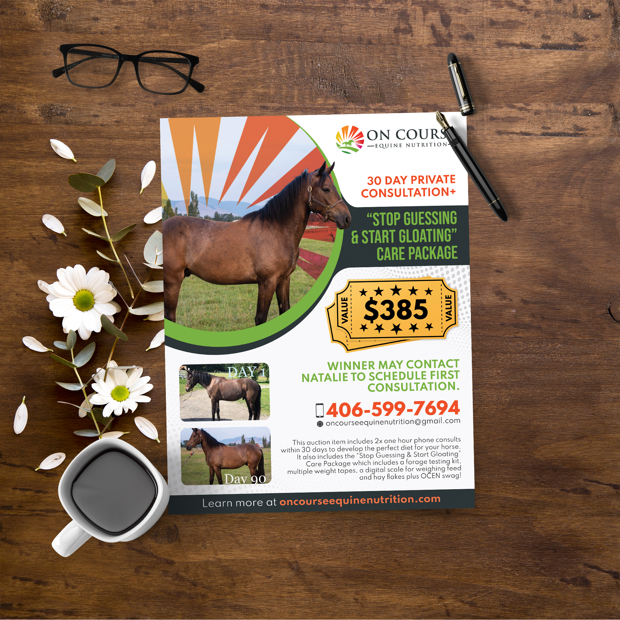 Design de Flyer par Sun Creative pour On Course Equine Nutrition | Design #32115859