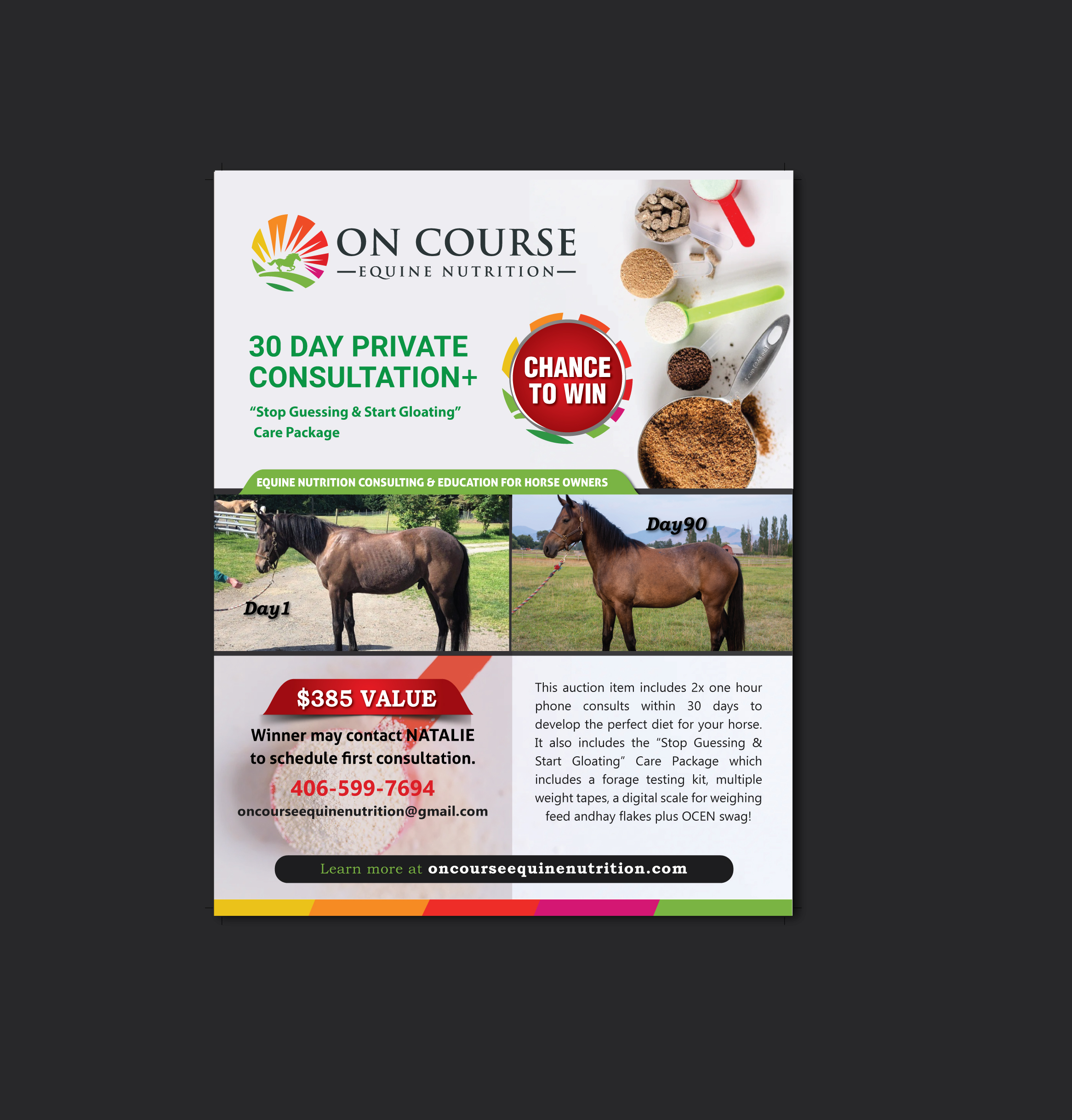 Design de Flyer par meet007 pour On Course Equine Nutrition | Design #32111066