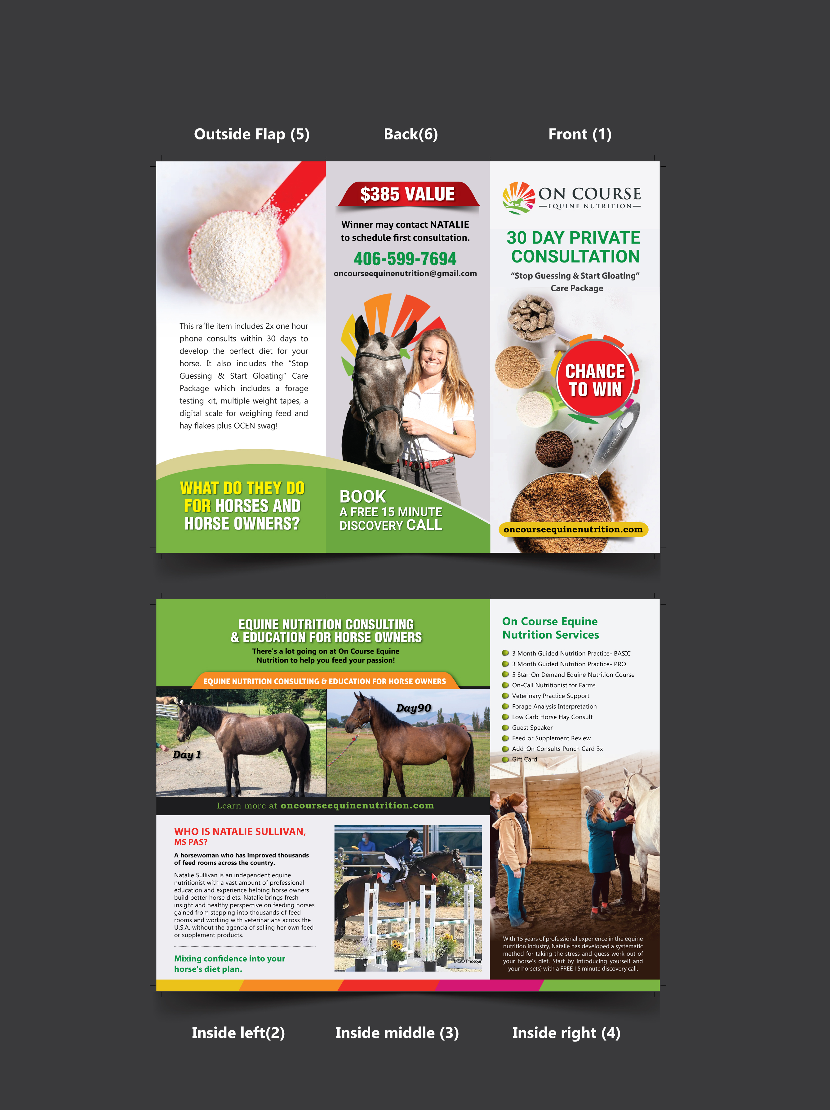 Design de Flyer par meet007 pour On Course Equine Nutrition | Design #32126915