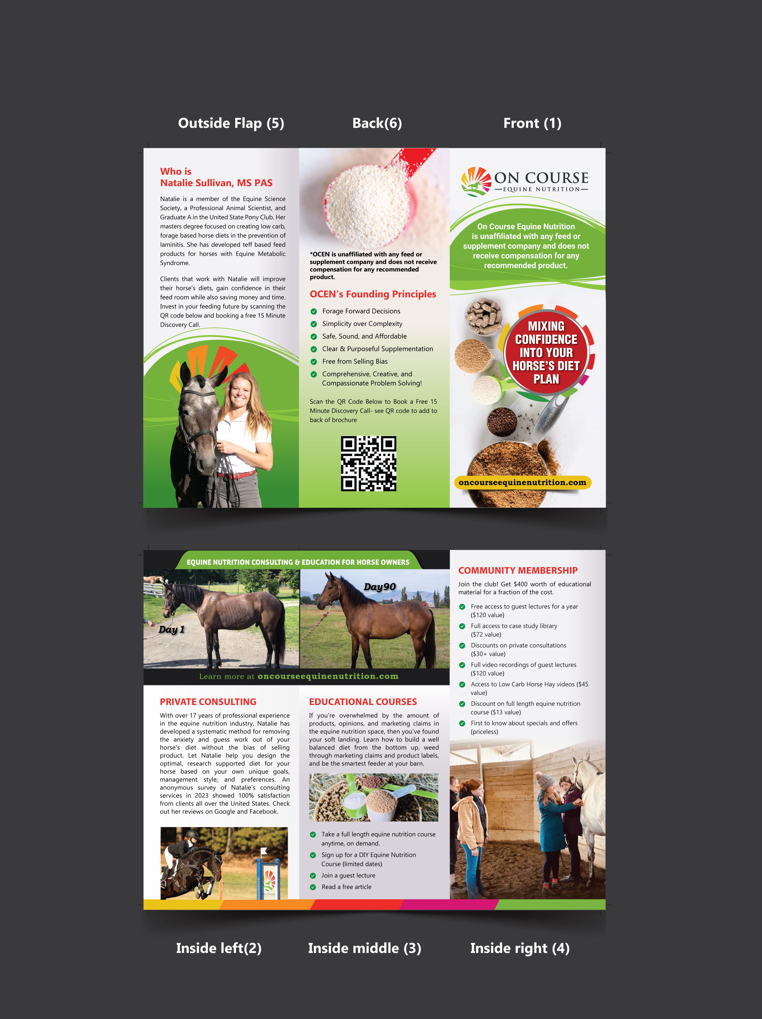 Design de Flyer par meet007 pour On Course Equine Nutrition | Design #32142969