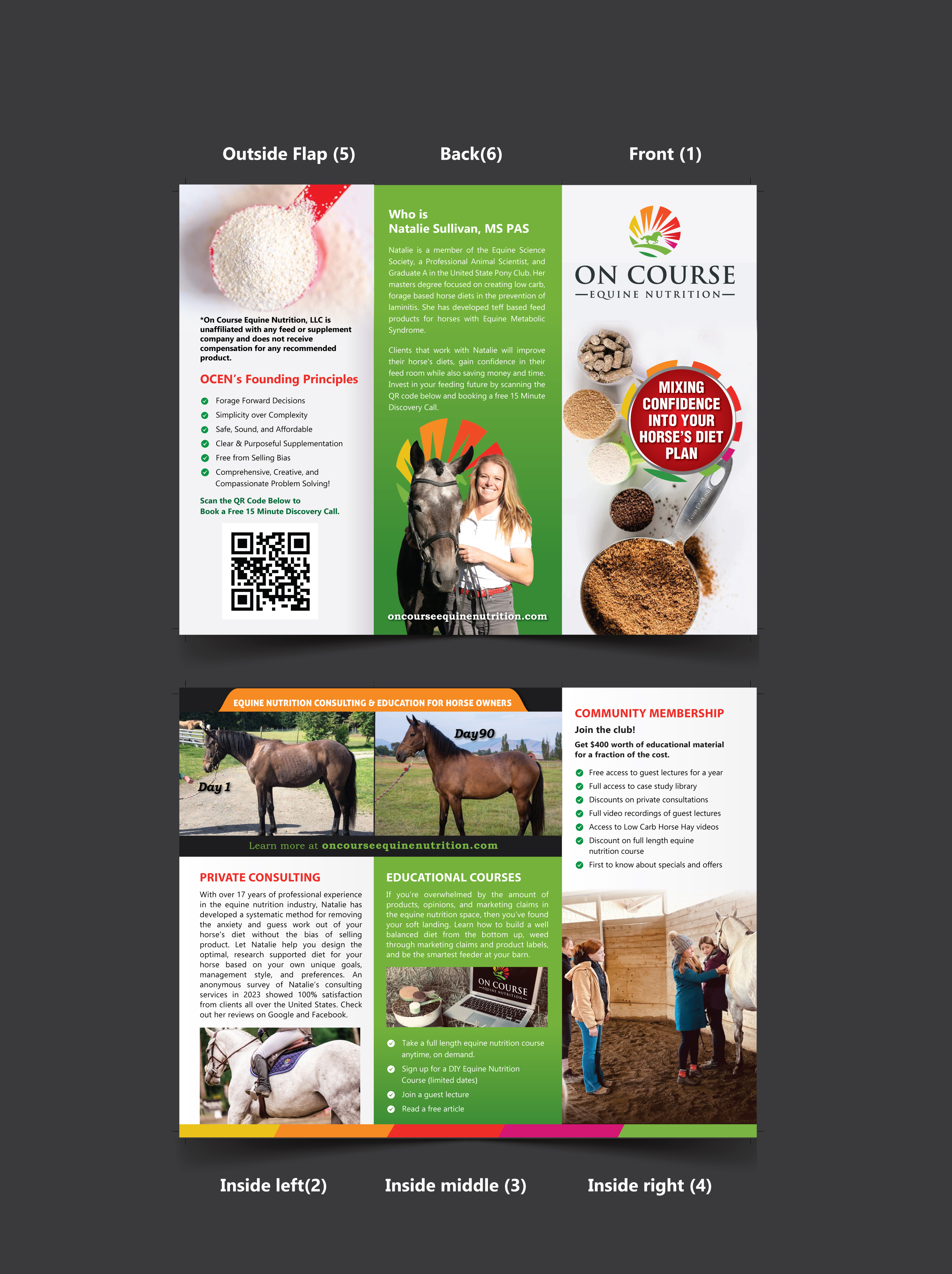 Design de Flyer par meet007 pour On Course Equine Nutrition | Design #32151223