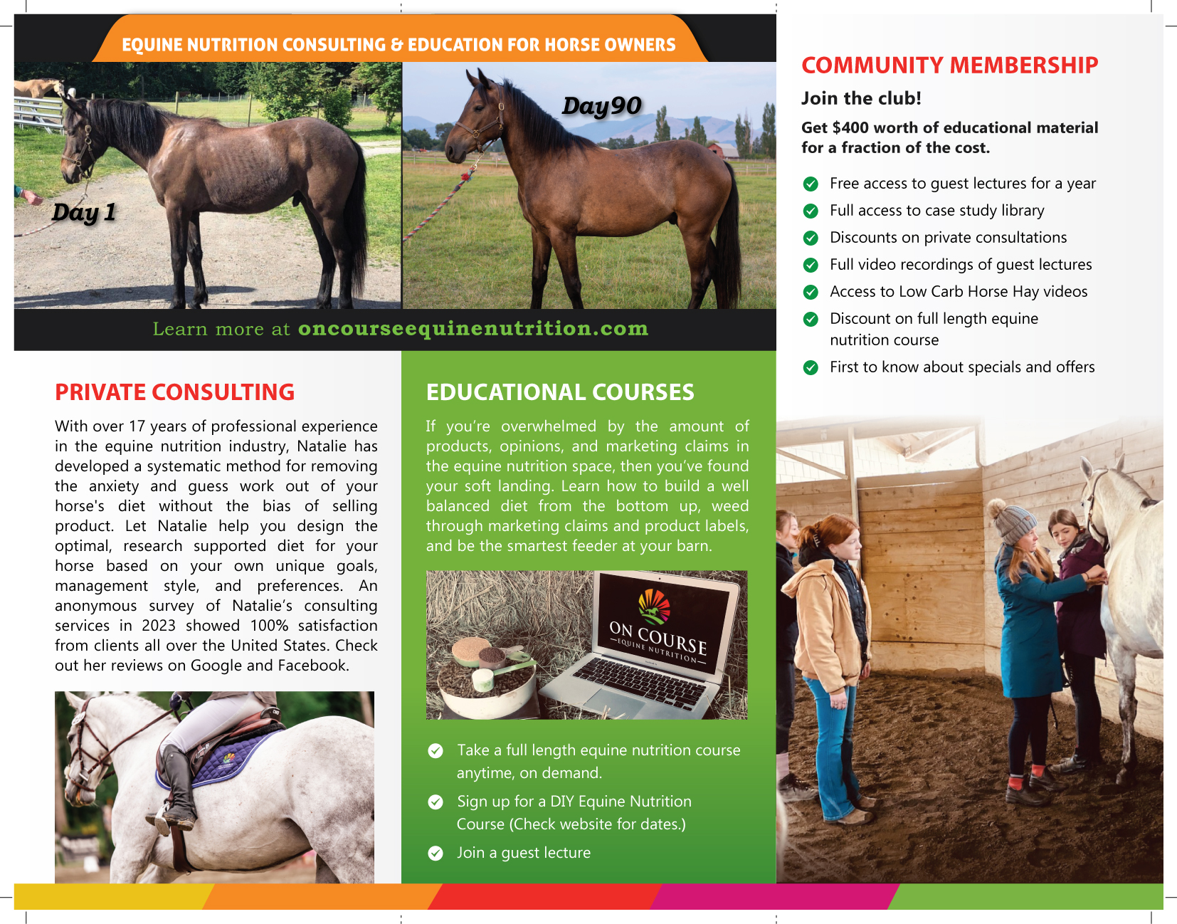 Design de Flyer par meet007 pour On Course Equine Nutrition | Design #32151739