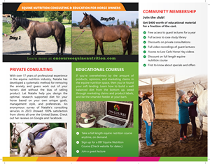 Design de Flyer par meet007 pour On Course Equine Nutrition | Design : #32151739