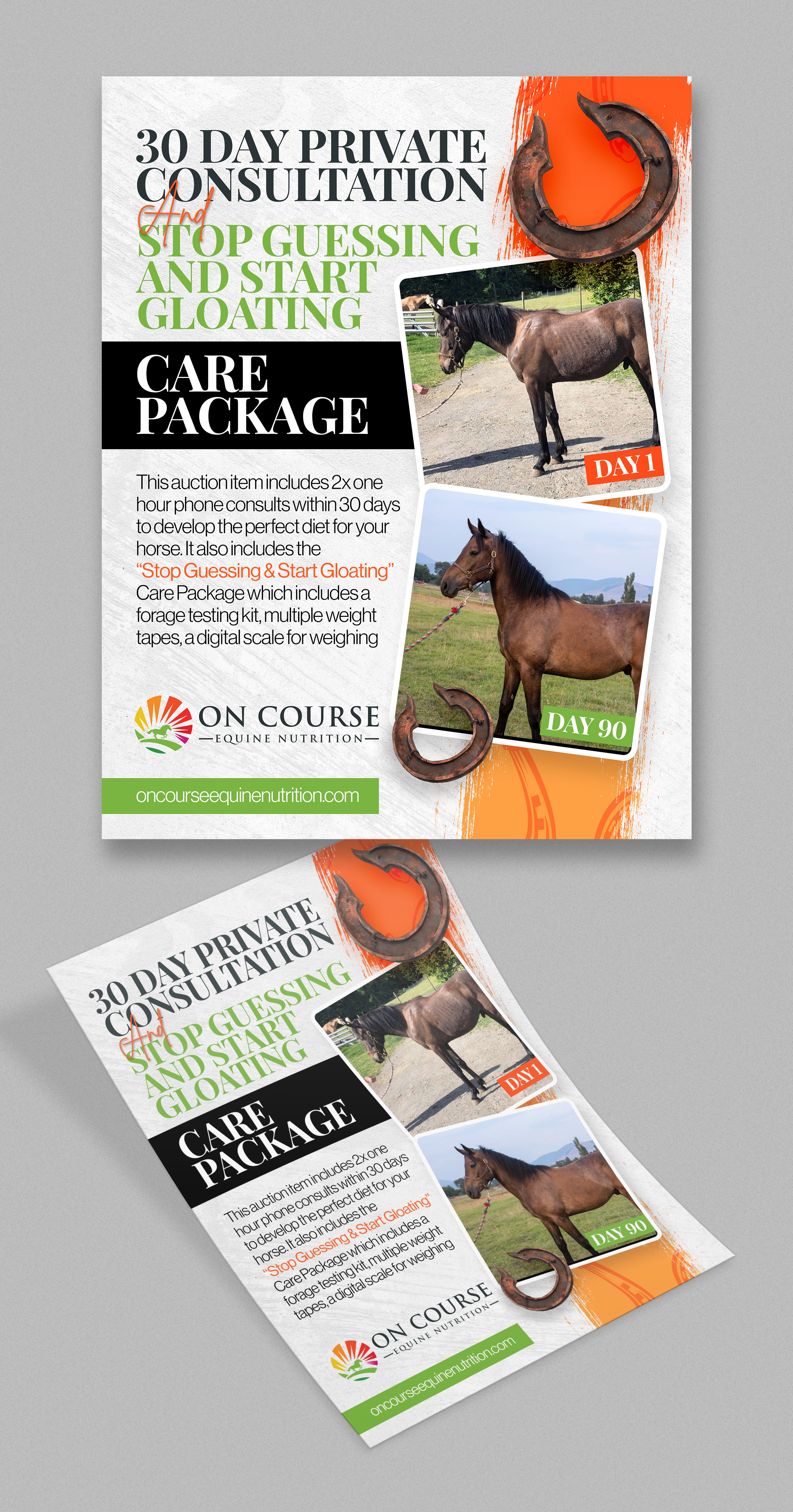 Diseño de Flyer por Graphic Guy para On Course Equine Nutrition | Diseño #32109626