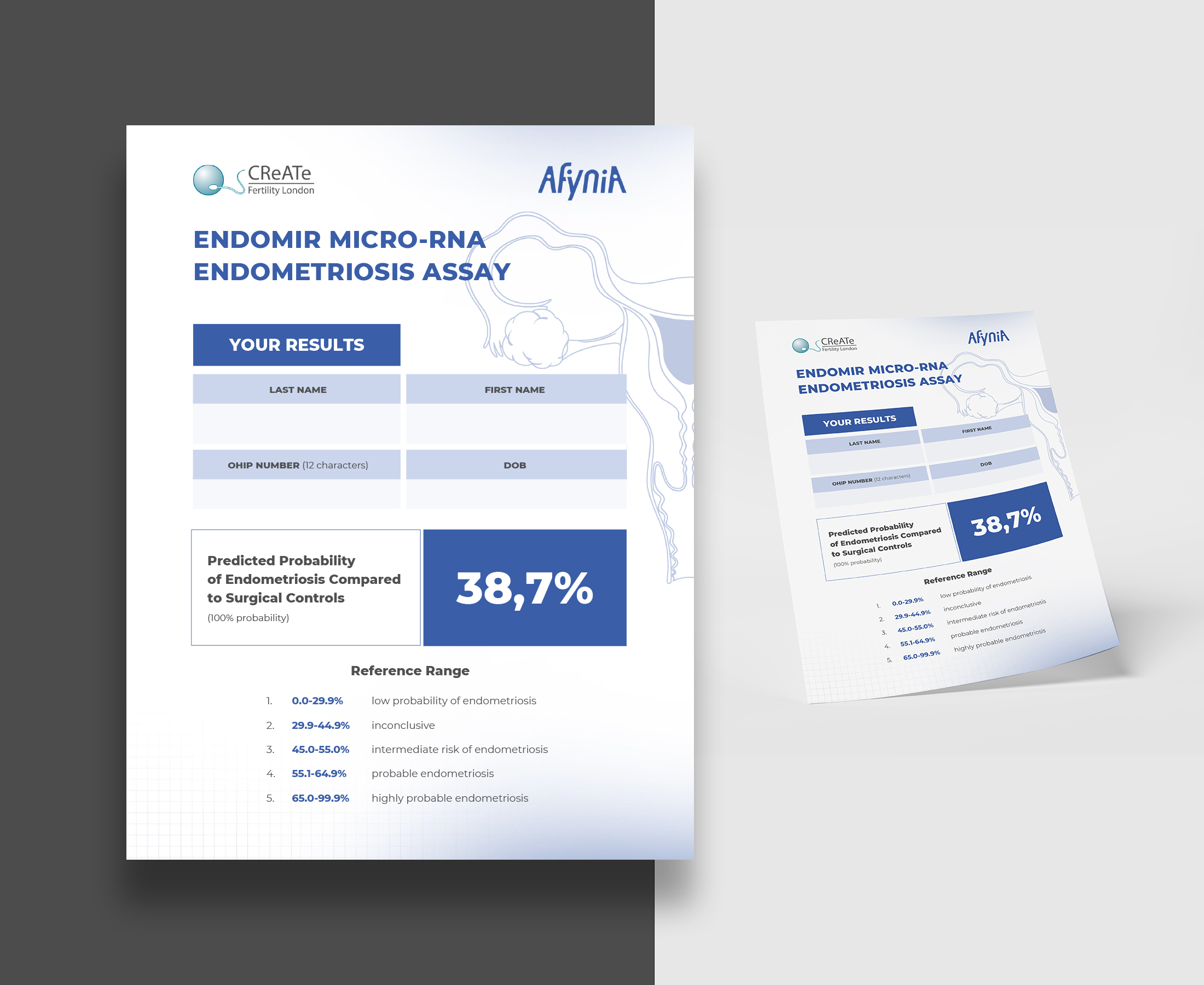 Diseño de Plantilla de Word por Oleksandra Den para este proyecto | Diseño #32104131