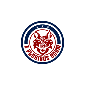 Logo Design by Krold IT Solutions for Viking Secreto LLC | Design: #32141877