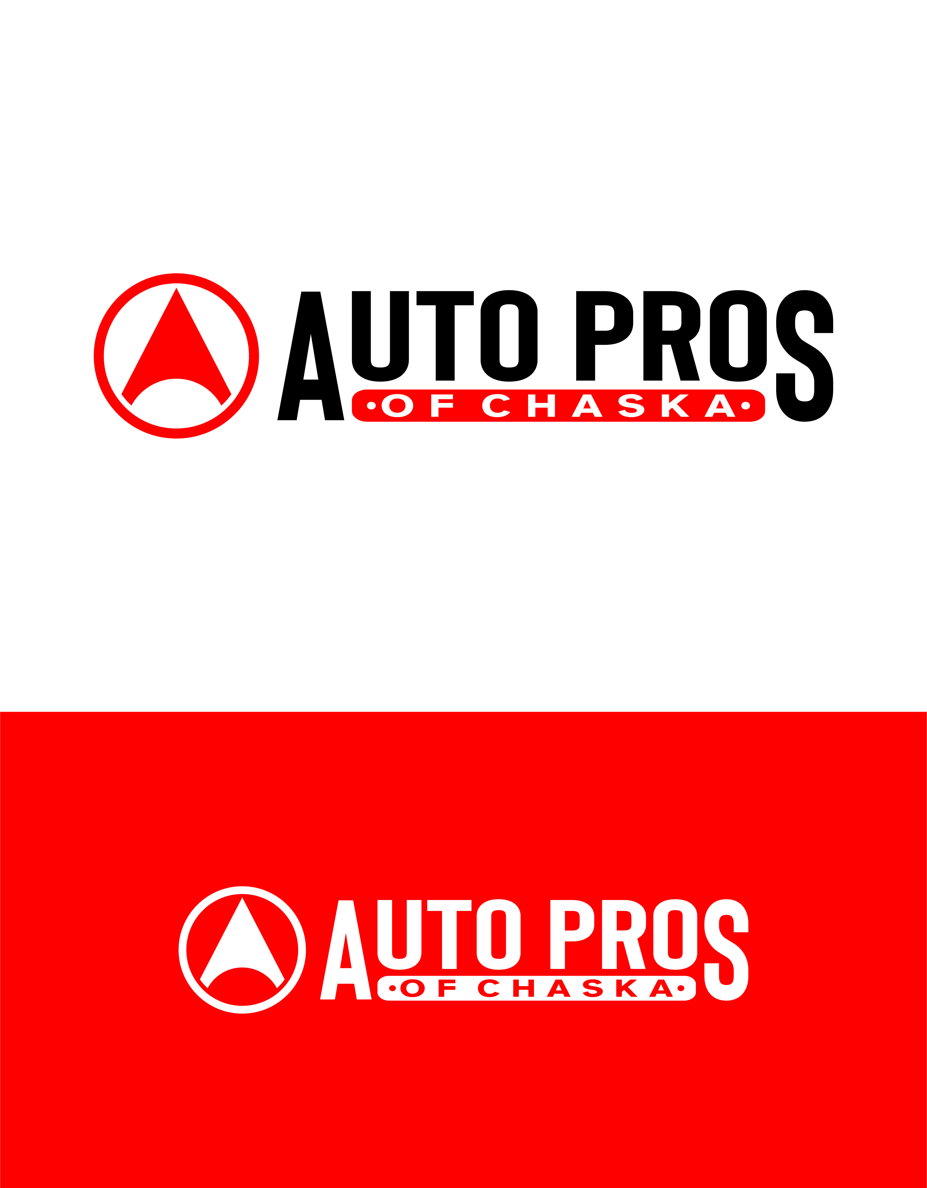 Logo Design by MBM Design for Triple Net Capital Advisors | Design #32141456