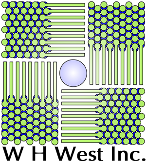 Logo Design by Purple Dragon FX