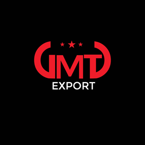 Logo Design by fly  design for GMTI | Design: #32108779