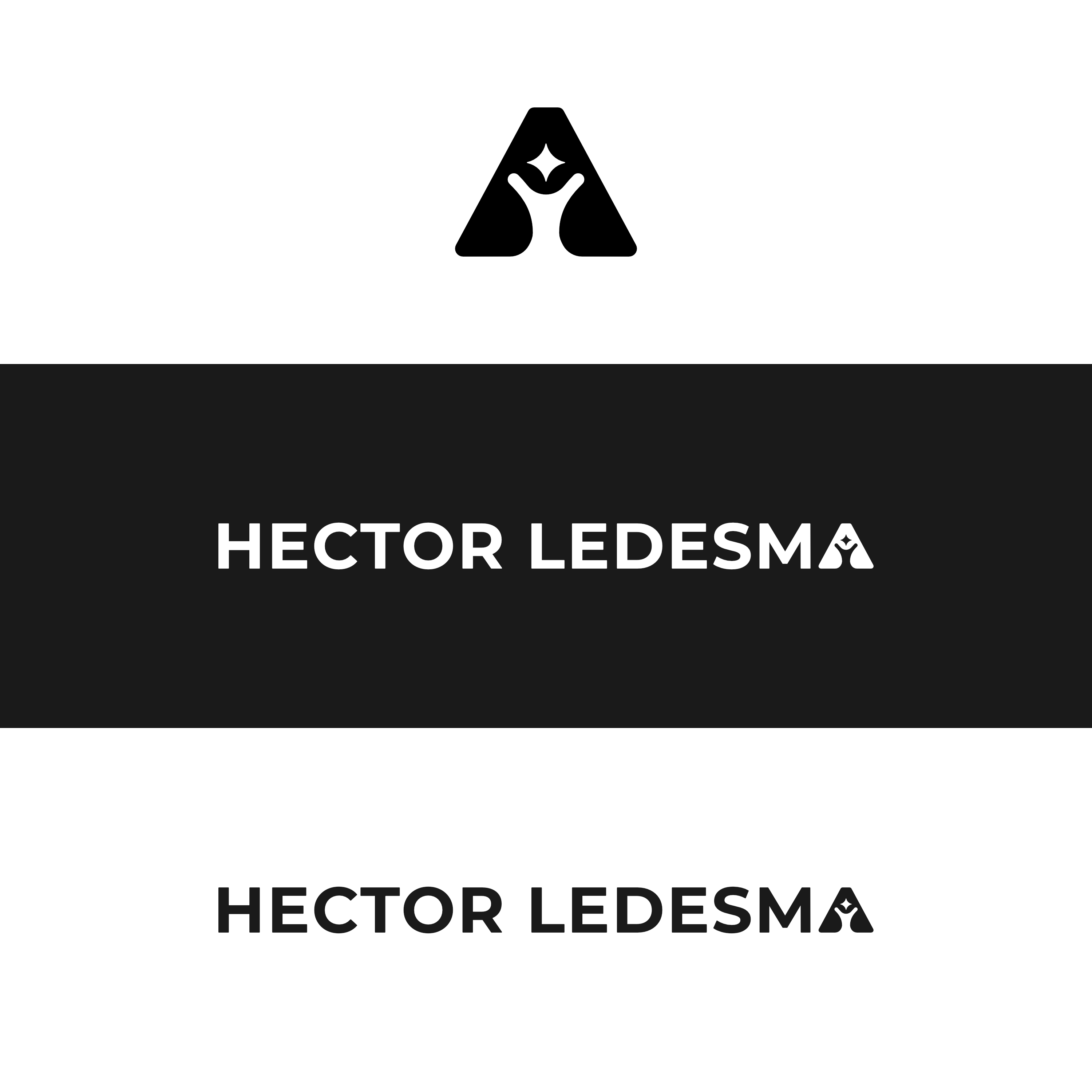 Diseño de Logo por FerouFYN para este proyecto | Diseño #32113105