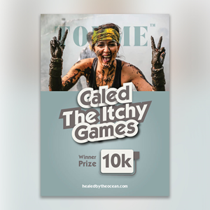 Flyer Design by YourLogoMaster for this project | Design: #32133966