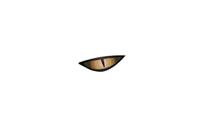 Icon Design by Aliad Studio for Vision Smarts SRL | Design: #32132591