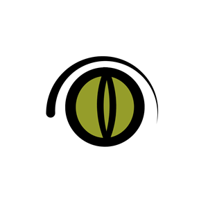 Icon-Design von Chas Designs für Vision Smarts SRL | Design: #32139124