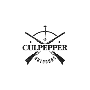 Logo Design by DesignAspects
