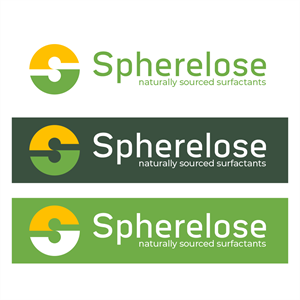 Logo Design by Dedi Saputra 2