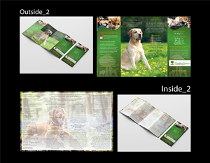Brochure Design by Magic of Art