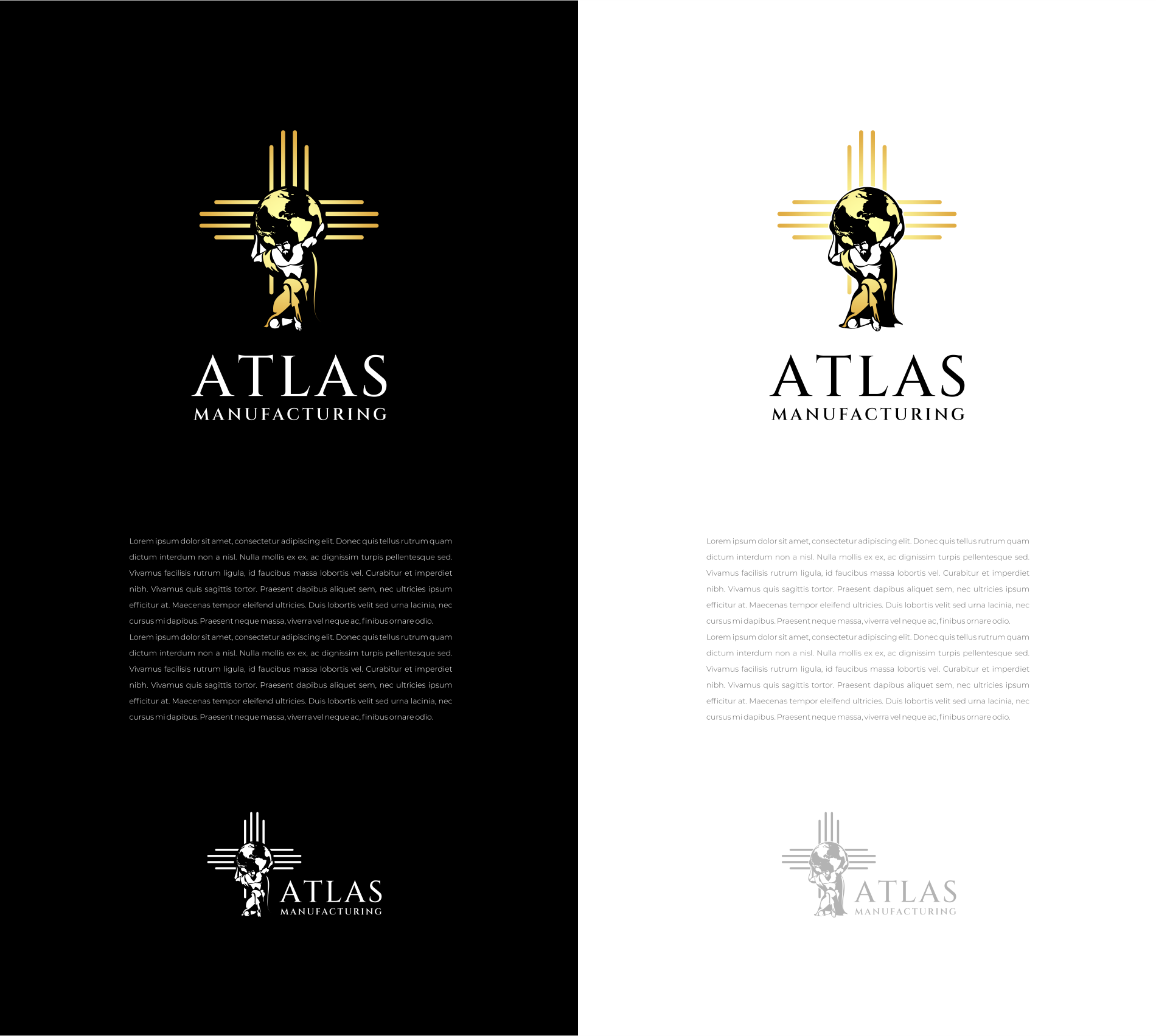 Diseño de Logo por MishaDsign para este proyecto | Diseño #32174812