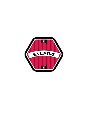 Logo Design by sk solutions