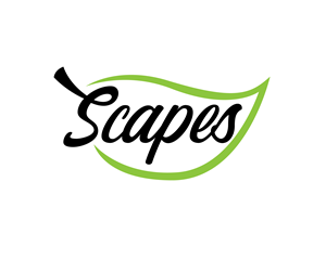 Logo Design by renderman