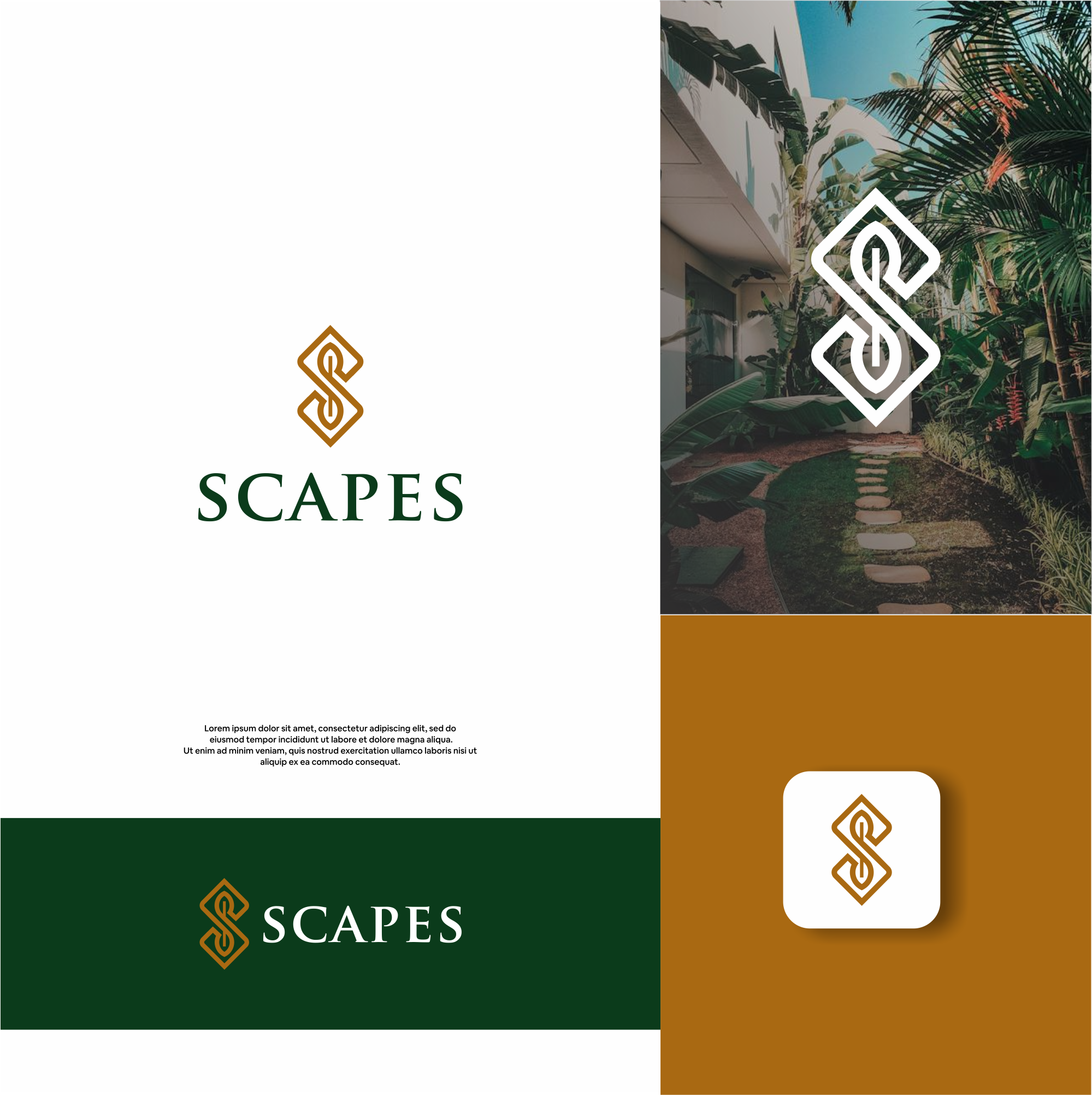 Design de Logo par DesignFirst pour ce projet | Design #32176347