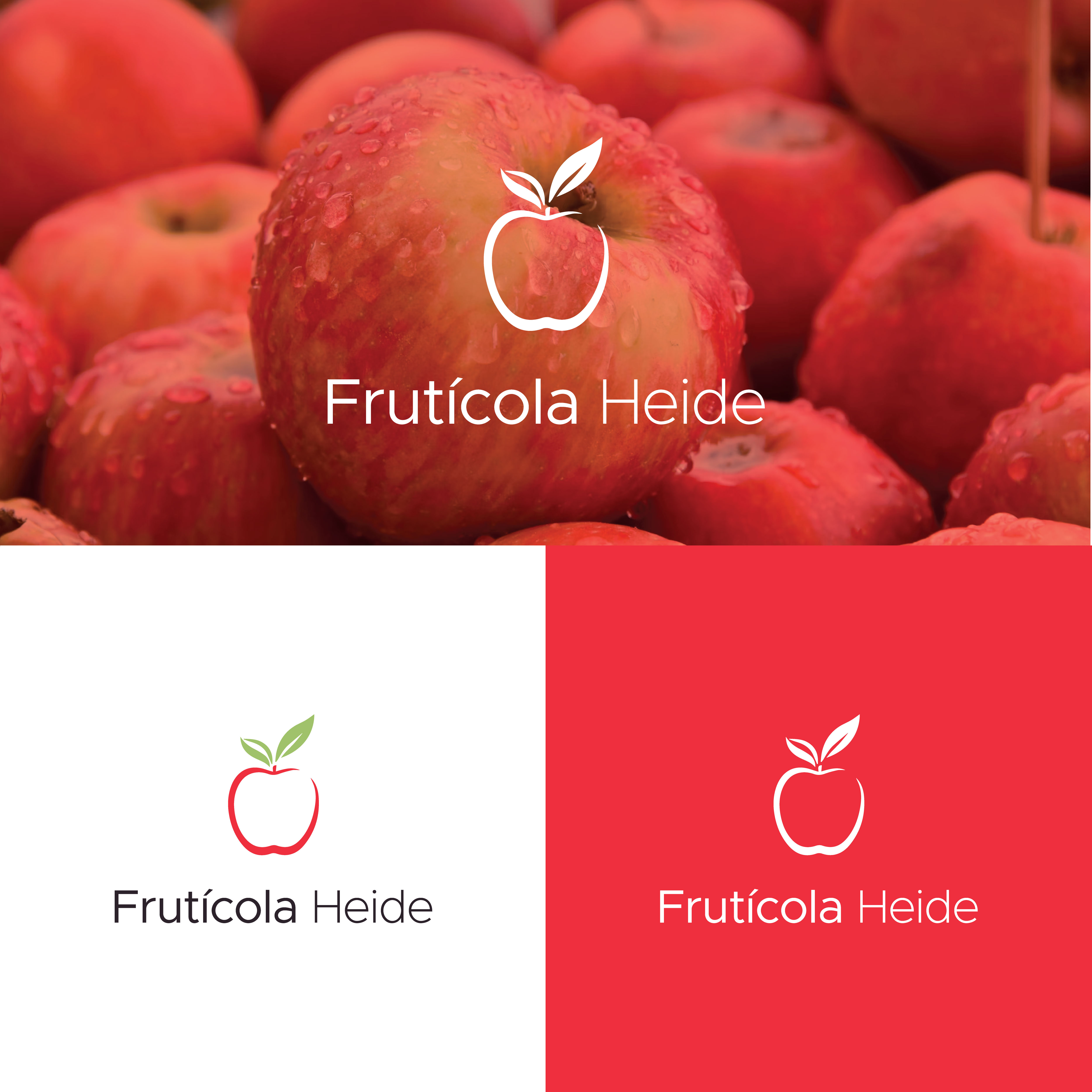 Diseño de Logo por Sbranding para este proyecto | Diseño #32177583