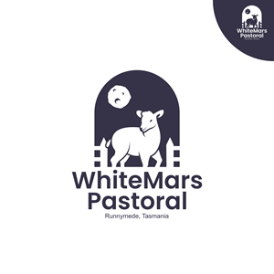 Logo Design by ZakySaid