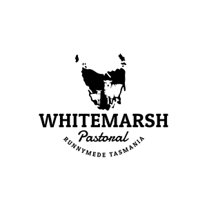 Logo Design by Illustratiko